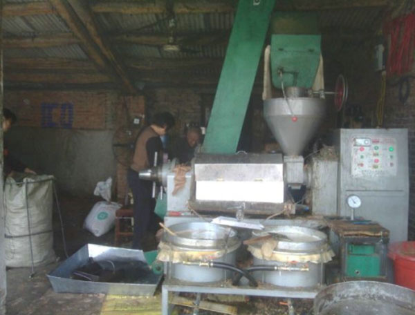 榨油機(jī)用戶訪問：鄉(xiāng)鎮(zhèn)之間榨油坊生意如何？