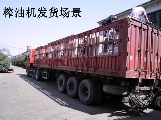 雙象榨油機的效果怎么樣？