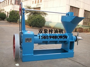 雙象榨油機(jī)如何安裝固定？